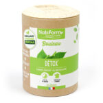 Bouleau - Soutien des Voies Urinaires et Détoxification Naturelle