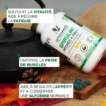Spiruline bio 400 comprimés – Image 4