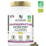 Harpagophytum Bio extra fort 60 gelules