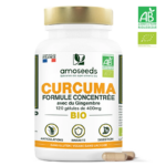 Curcuma haute absorption 30 gelules