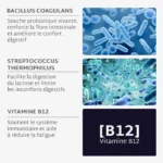 Gummies PROBIOTIQUES – Image 2