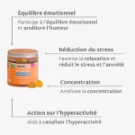 Gummies SAFRAN – Image 3