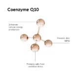 Biocyte Complexe liposomal – Image 4