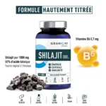 GRANIONS Shilajit 1000 mg 60 gélules – Image 2