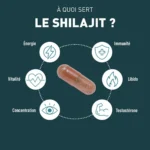 GRANIONS Shilajit 1000 mg 60 gélules – Image 3