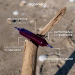Spirulisat ginseng Tonus performance – Image 4