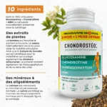 Chondrostéo articulations Format éco 2 MOIS + 1 MOI OFFERT – Image 2